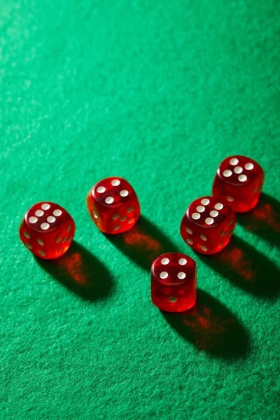 suptogel What Makes Bingo Stand Out Here